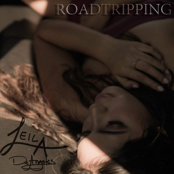 Cover art for Roadtripping